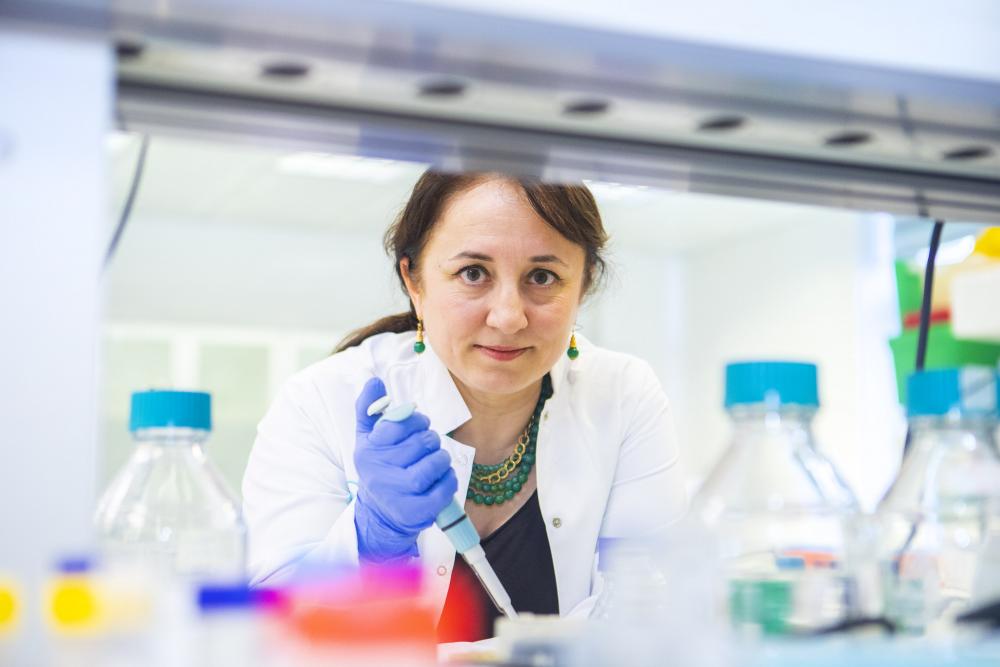 Yeni virüsler nasıl evrimleşiyor ve yayılıyor?